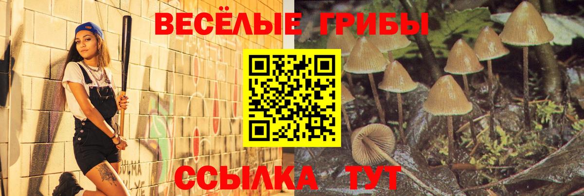 Конаково  Псилоцибиновые грибы мухоморы  Вход с VPN 