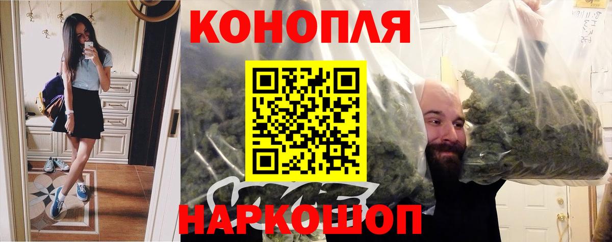 Бошки Шишки сатива Конаково